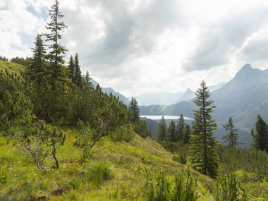 © Stefan Michael Kothner;www.stefankothner.at