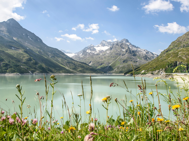 © PATRICK SAELY PHOTOGRAPHY