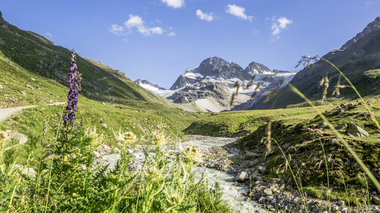 © Packyourthingsandtravel / Montafon