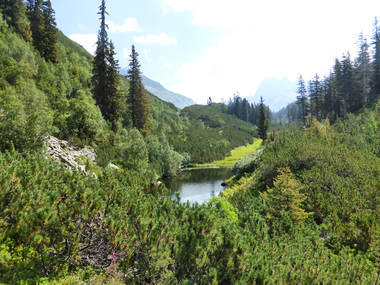 © Christina Wachter / Montafon