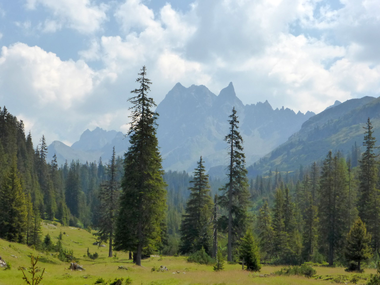 © Christina Wachter / Montafon