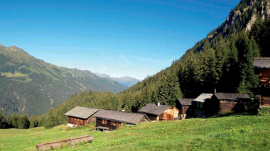 © Elisa Schöllhorn