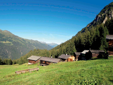 © Elisa Schöllhorn