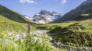 © Stefan Kothner / Montafon Tourismus GmbH