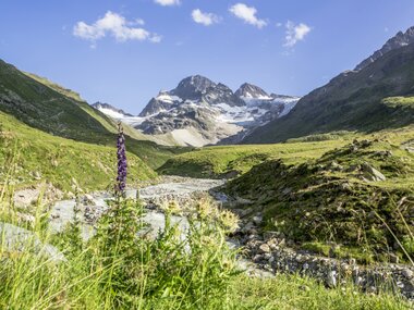 © Stefan Kothner / Montafon Tourismus GmbH