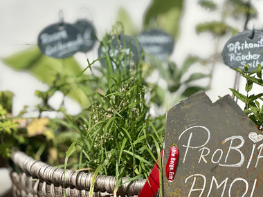 © Sophie Haarer / Montafon