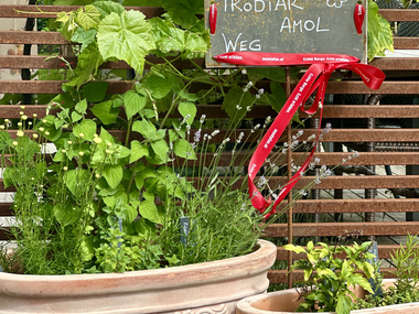 © Sophie Haarer / Montafon