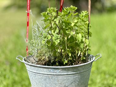 © Sophie Haarer / Montafon