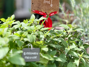 © Sophie Haarer / Montafon