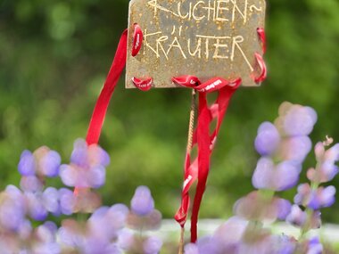 © Sophie Haarer / Montafon