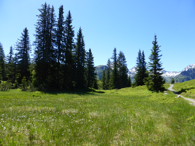 © Montafon Tourismus - Christina Wachter