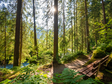 © Stefan Kothner / Montafon