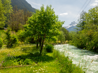 © Stefan Kothner / Montafon