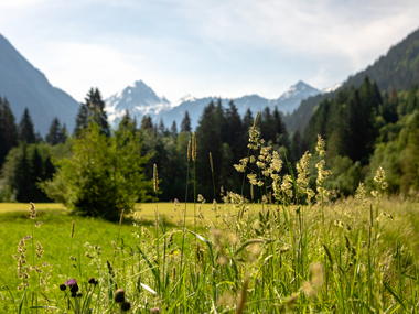 © Stefan Kothner / Montafon