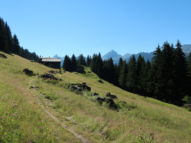© Niclas Bösch / Montafon