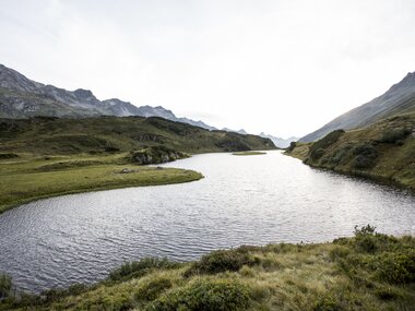 © Elisa Schöllhorn