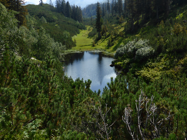 © Christina Wachter