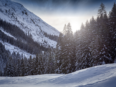 © Andreas Haller / Montafon