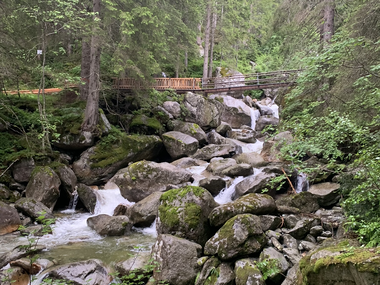 © Roland Fritsch / Montafon