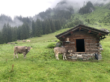 © Roland Fritsch / Montafon